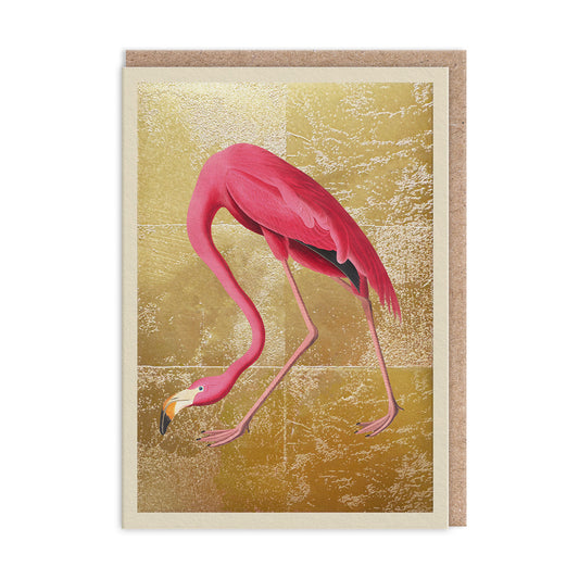Greater Flamingo Greeting Card (13322)