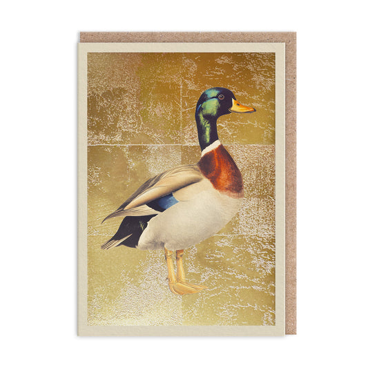 Mallard Greeting Card (13327)