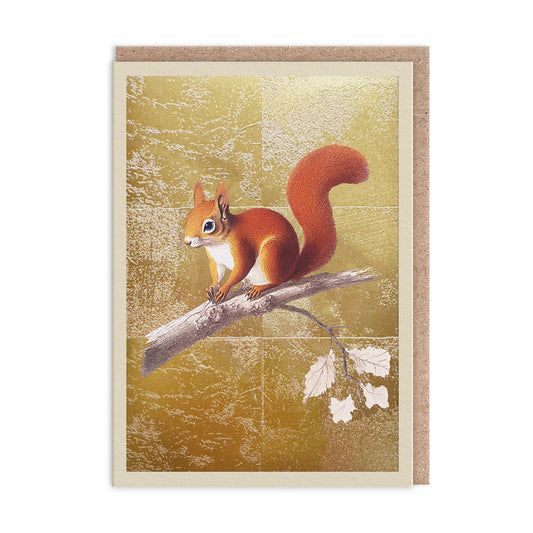 Red Squirrel Greeting Card (13331)