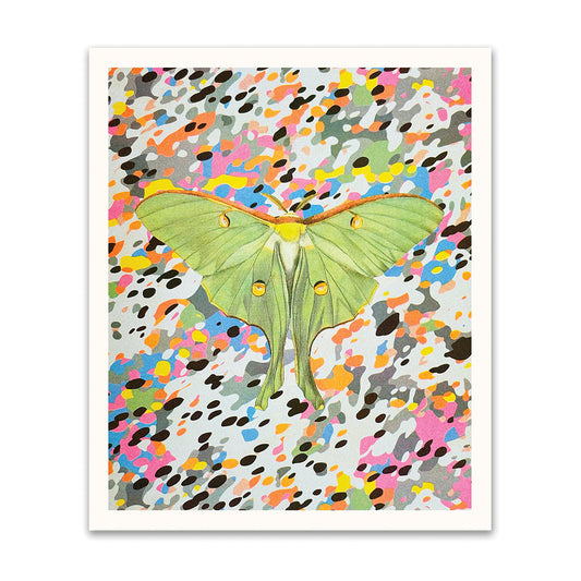 Moth Riso Print (12x10)(12178)