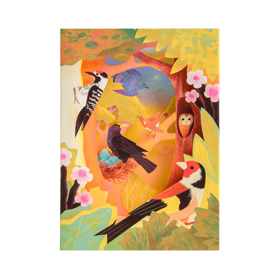 British Birds Pop Up Greeting Card (12107)