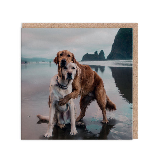 Beach Dogs Hug Square Greeting Card (3750)