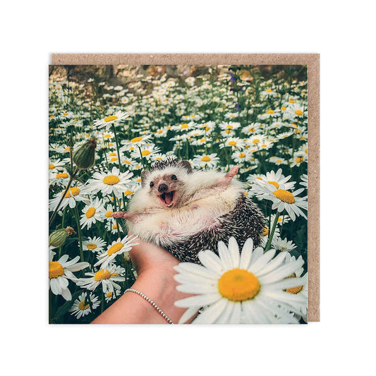Hedgehog Daisy Field Greeting Card (3754)