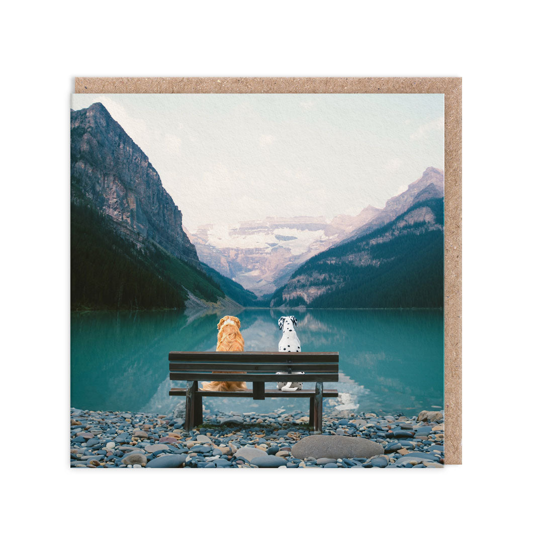 Greeting cards with an image of dogs on a bench facing a stunning mountain lake
