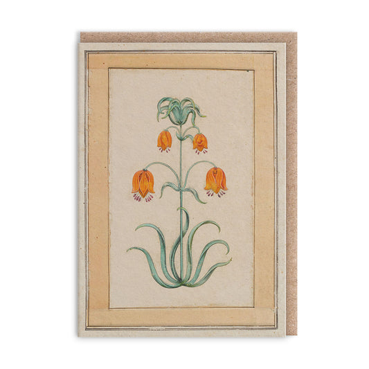 Orange Fritillaria Mini Greeting Card (14367)