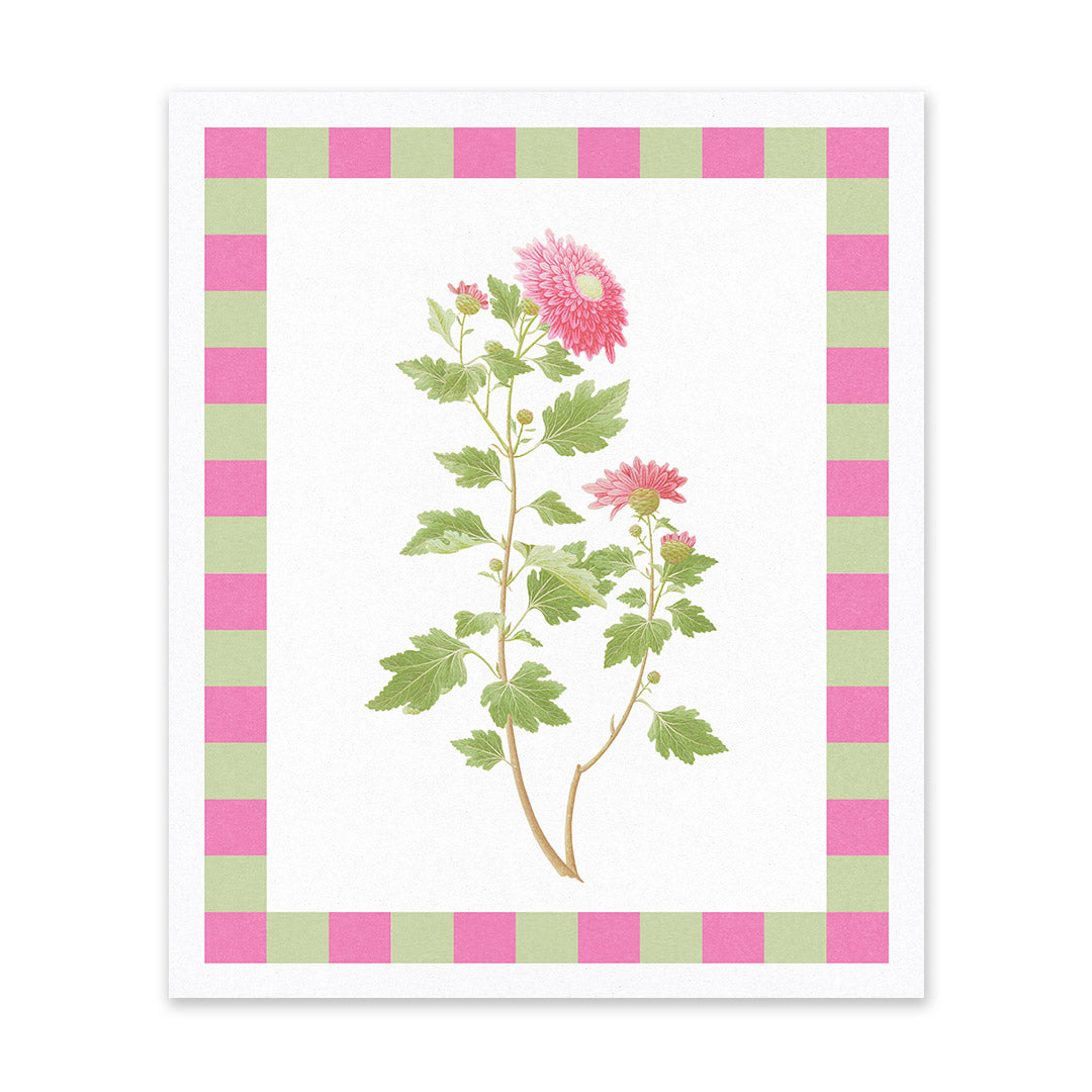 Chrysanthemum Riso Print (12x10) (13285)