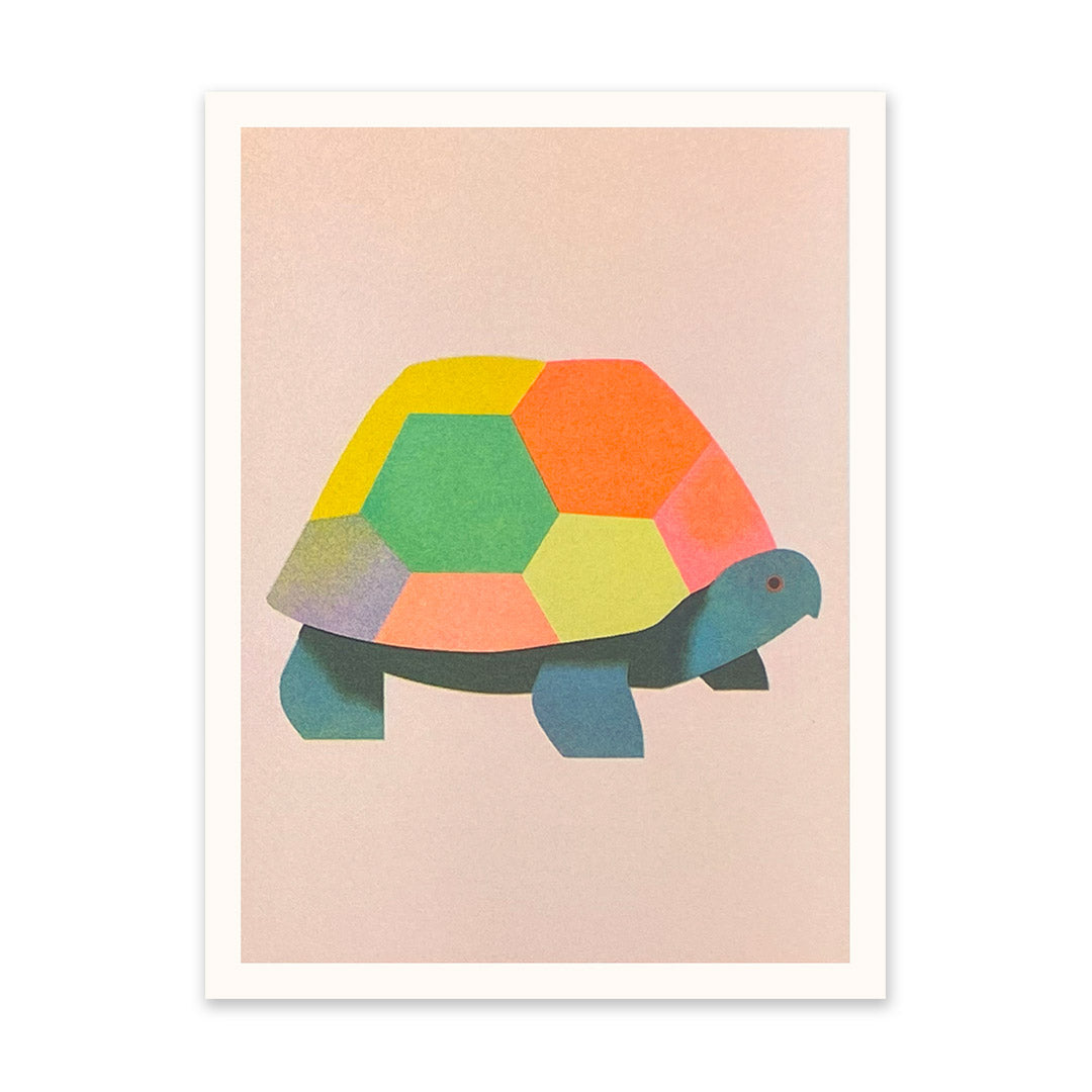 Patchwork Tortoise 1 Art Print (10916)