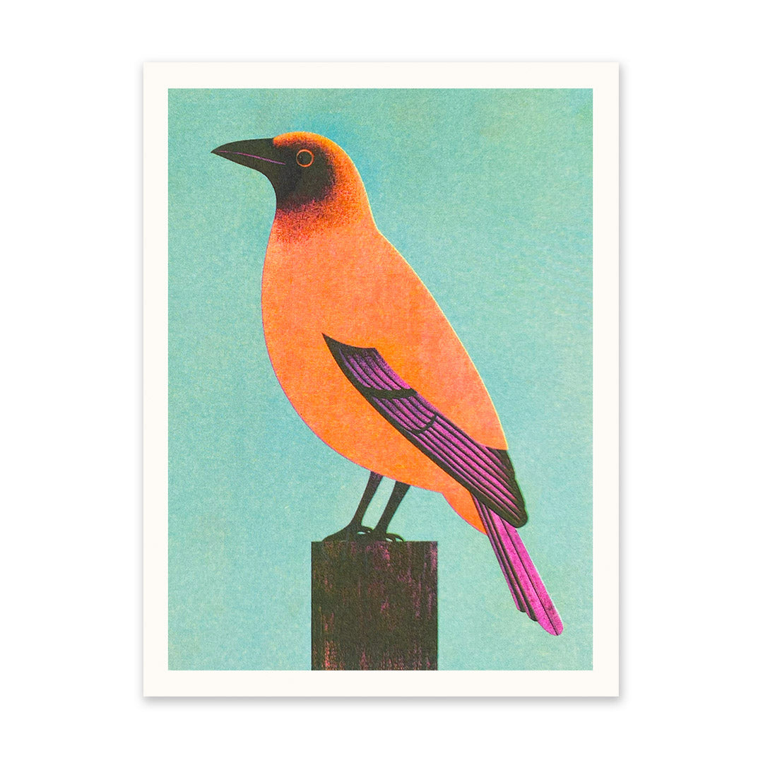 Mid Century Bird 1 Riso Print (8x6)(11215)