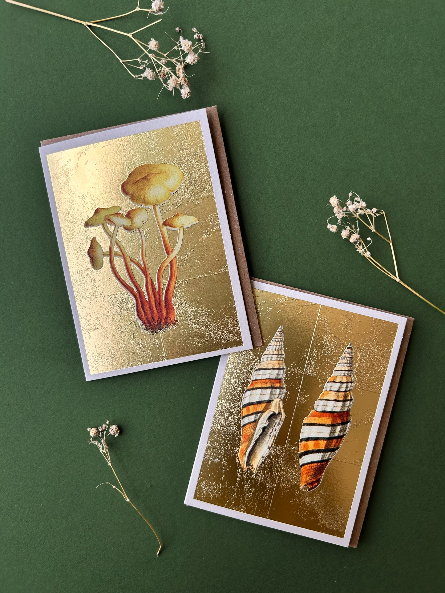 Shells Mini Greeting Card (14372)