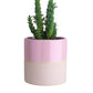 Pink Dipped Mini Plant Pot