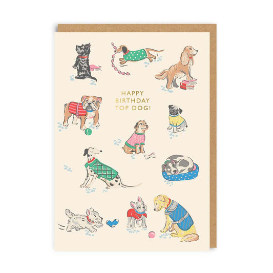 Happy Birthday Top Dog Greeting Card