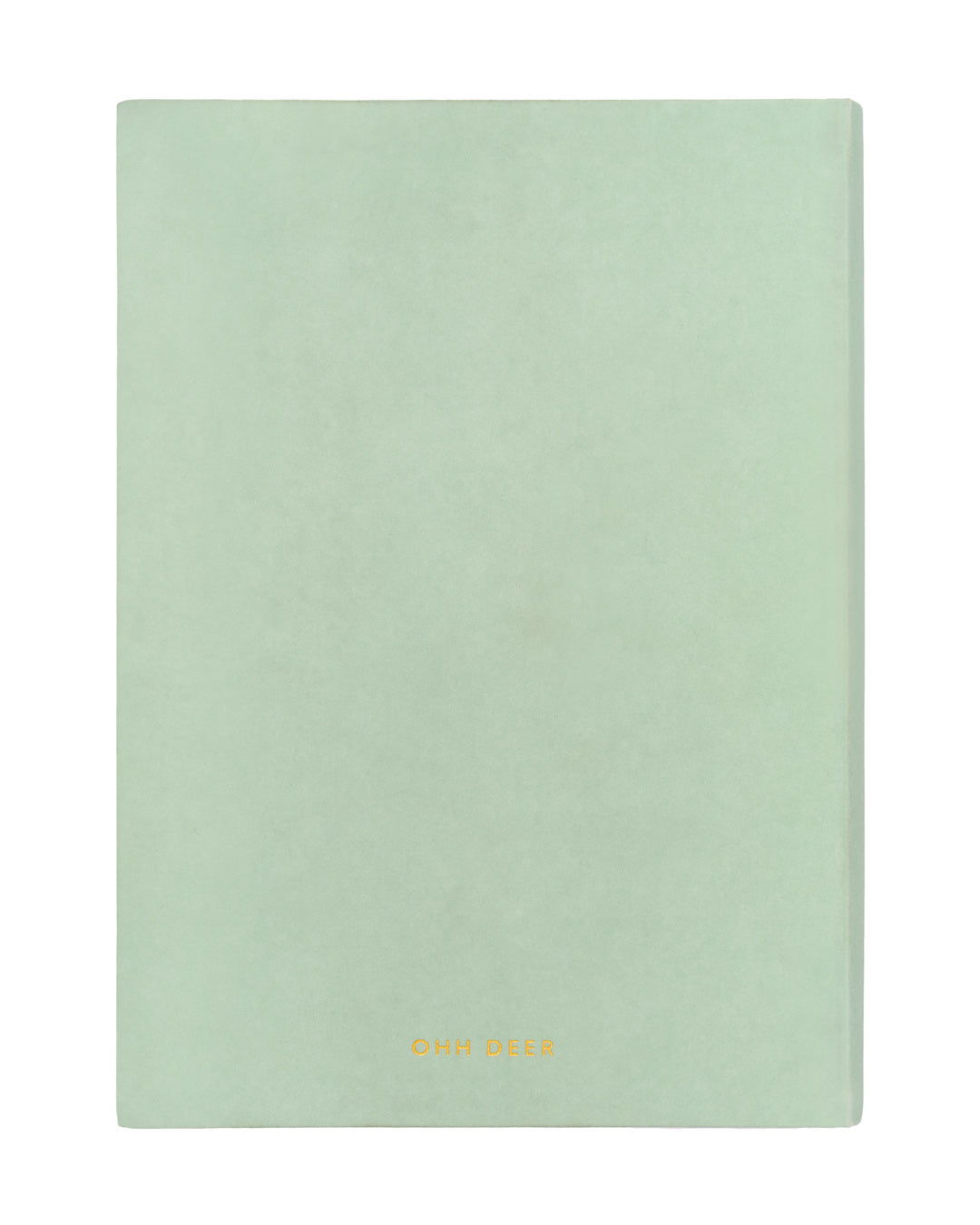 Sage Green Daily Planner (5785)